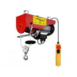 Treuil Palan électrique 500-1000Kg PA1000