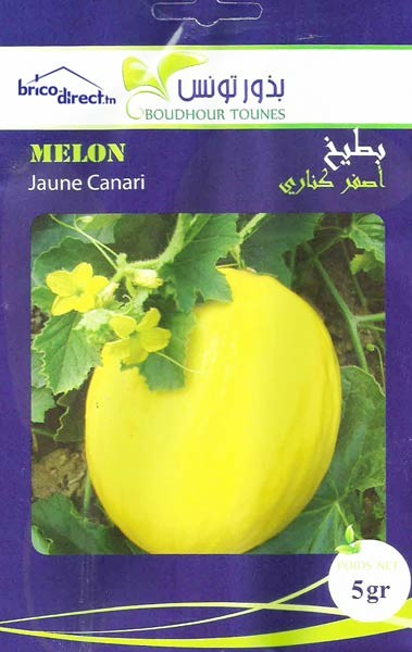 Graines de Melon Jaune Canari AB