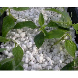Perlite pour jardinage MAXIPERLITE 10L