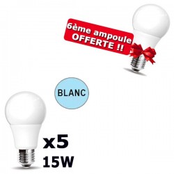 Lot de 5 Ampoules LED E27 Blanc Froid 15W DURAMP + 6ème ampoule OFFERTE !