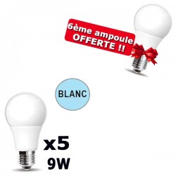 Lot de 5 Ampoules LED E27 Blanc Froid 9W DURAMP + 6ème ampoule OFFERTE !