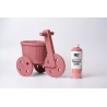 Peinture CHALK PAINT en Spray Couleur Corail 400ml PINTY PLUS
