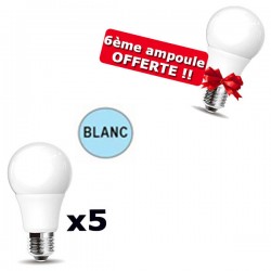 Lot de 5 Ampoules LED E27 Blanc Froid 11W PROLIGHT + 6ème ampoule OFFERTE !