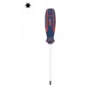 Tournevis TORX T25x4.5x100mm APT