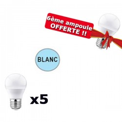 Lot de 5 Mini Ampoules LED E27 Blanc Froid 6W PROLIGHT + 6ème ampoule OFFERTE !
