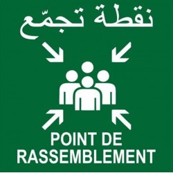 Pictogramme Pictogramme POINT DE RASSEMBLEMENT 400x400mm TOROZER