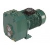 Pompe de surface à double aspiration 2.5CV Sans ejecteur DAB DP251