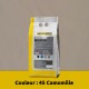 Carreaux joints spécial zones humides INTENSE CAMOMILLE DEUTSCHCOLOR