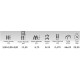 Echelle triple en aluminium 3x5m LITAN