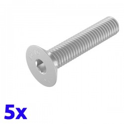 Pack de 5 vis à tête creuse HEX fraisée M8x40 en INOX TOROZER