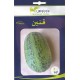 Graines semis Kennin قنين
