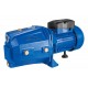 Pompe Jet de surface 0.75CV 550W HAPPY PUMPS