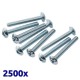 Pack de 2500 vis galvanisées à tête bombée 4x20