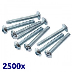 Pack de 2500 vis galvanisées à tête bombée 4x20