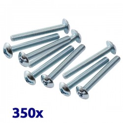 Pack de 350 vis galvanisées à tête bombée 6x60