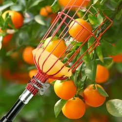 Panier Collecteur de fruits HARDEN